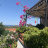 Vista da casa
